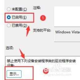 win11关闭显卡驱动更新的方法_win11怎么关闭显卡驱动更新