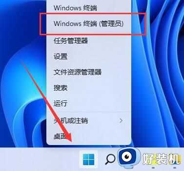 win11系统怎么更新不了_系统win11更新不了解决方法