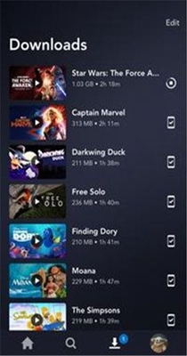 disneyplus(迪士尼)