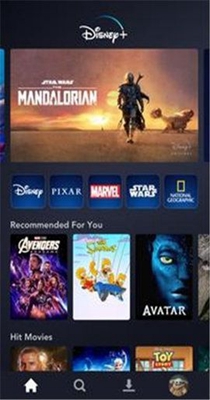 disneyplus(迪士尼)