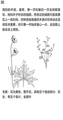 野外植物识别手册